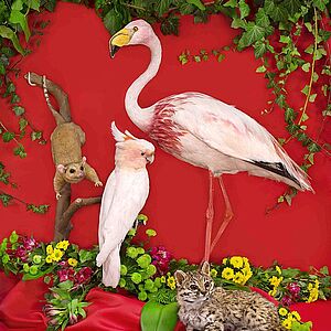 Bild mit rotem Hintergrund, mit grünen Pflanzen hängend, im Vordergrund sitzen ein Papgei und ein Storch