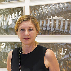 Elisabeth Wörndl mit Serien von 4 Bilder von Dinosaurierschatten an der Wand