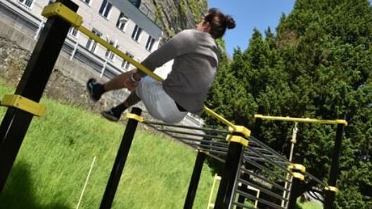 Calisthenics am Franz-Josef-Kai Calisthenics am Franz-Josef-Kai