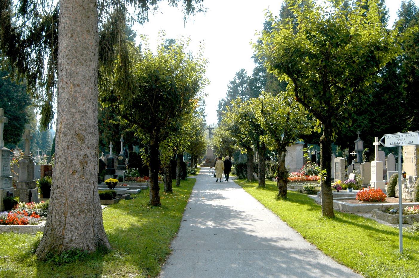 Gräber am Kommunalfriedhof Spazierweg welcher durch die Gräber am Kommunalfriedhof führt.