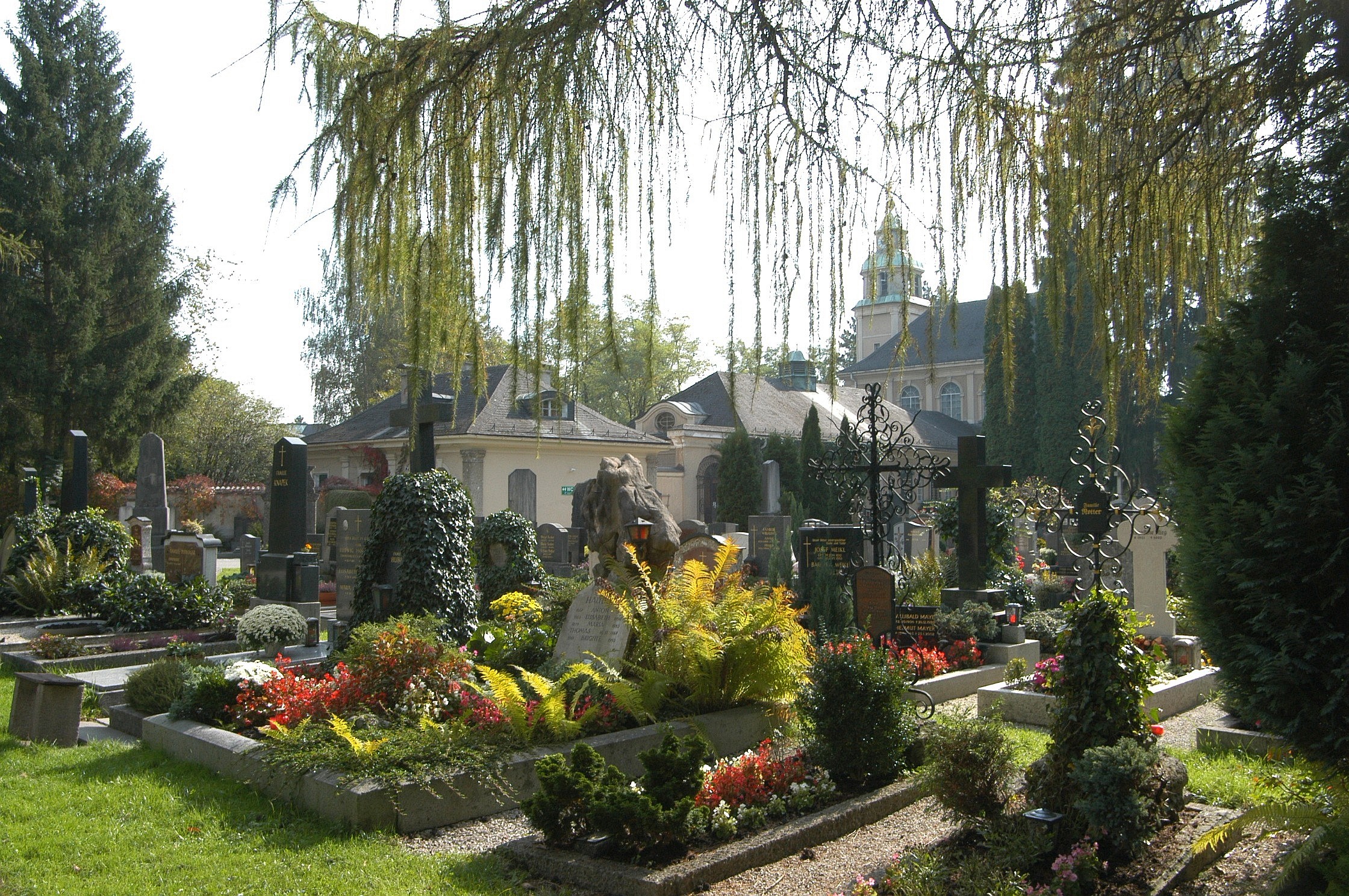 Kommunalfriedhof Gräber geschmückt unter Trauerweiden