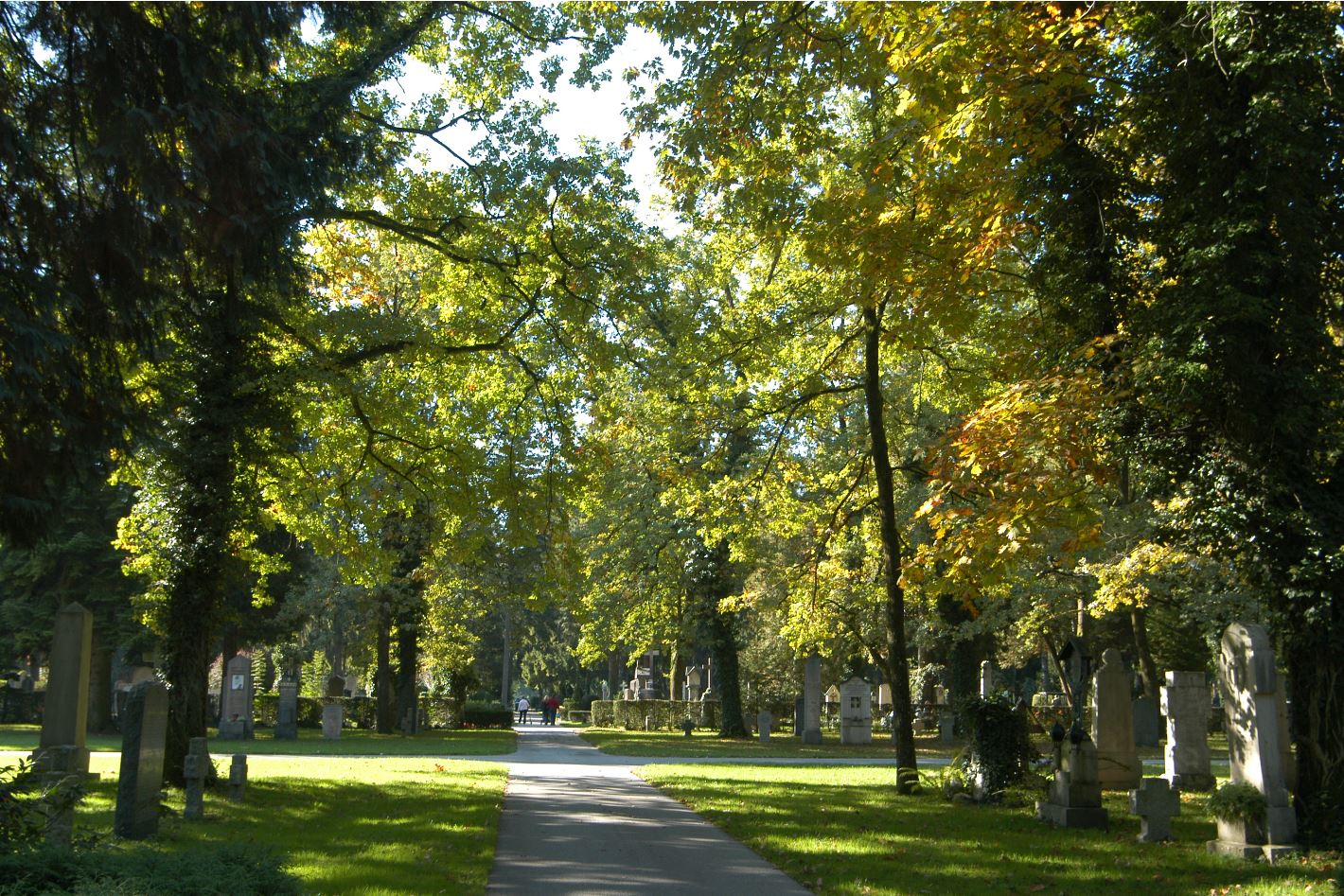 Kommunalfriedhof ursprünglich ein Waldfriedhof Spazierweg durch den ursprünglichen Waldfriedhof.