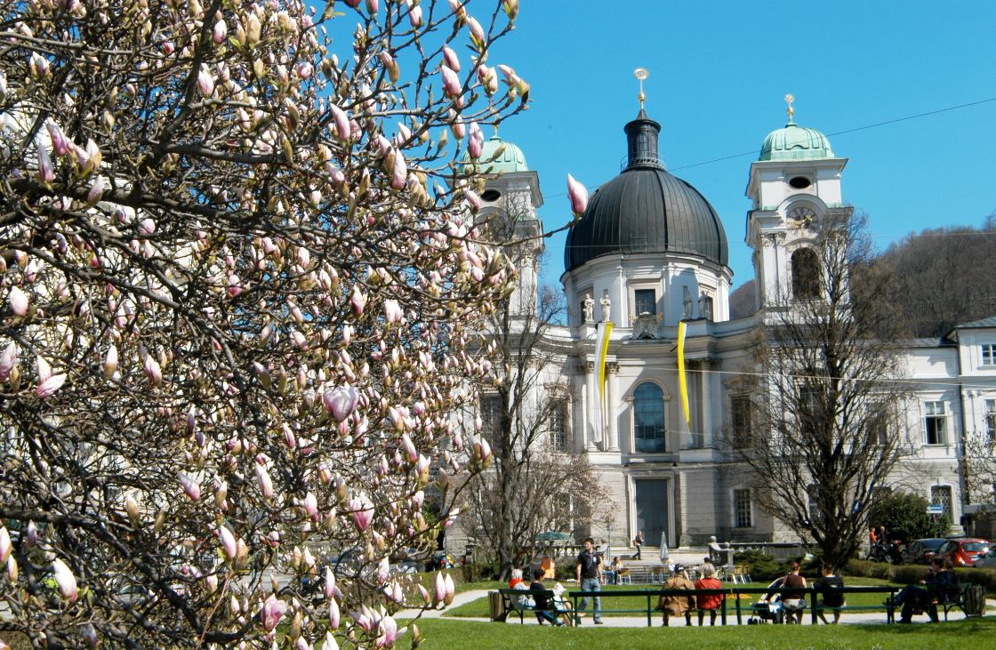 Die Dreifaltigkeitskirche hinter einem Magnolienbaum.
