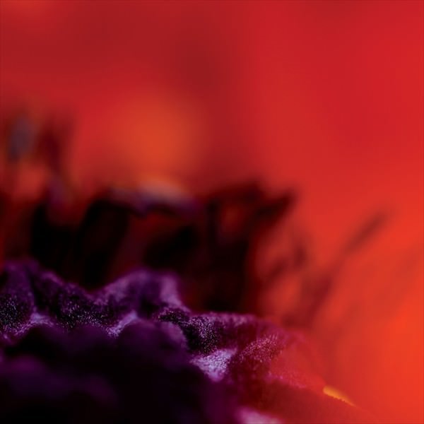 "Fotografien" Abstraktes Bild
