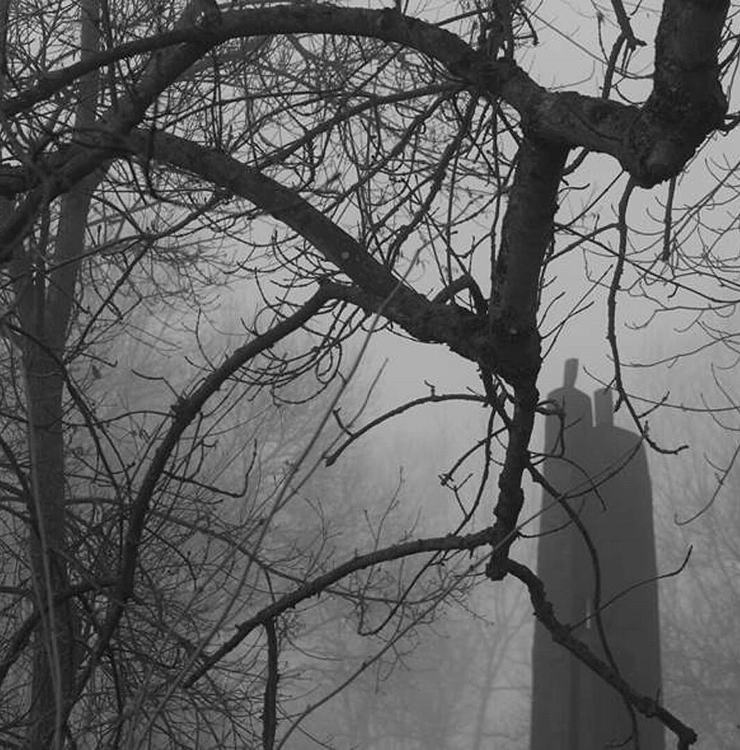 "Fotografien aus Reims" schwarz-weiß Fotografie kahler Bäume im Nebel