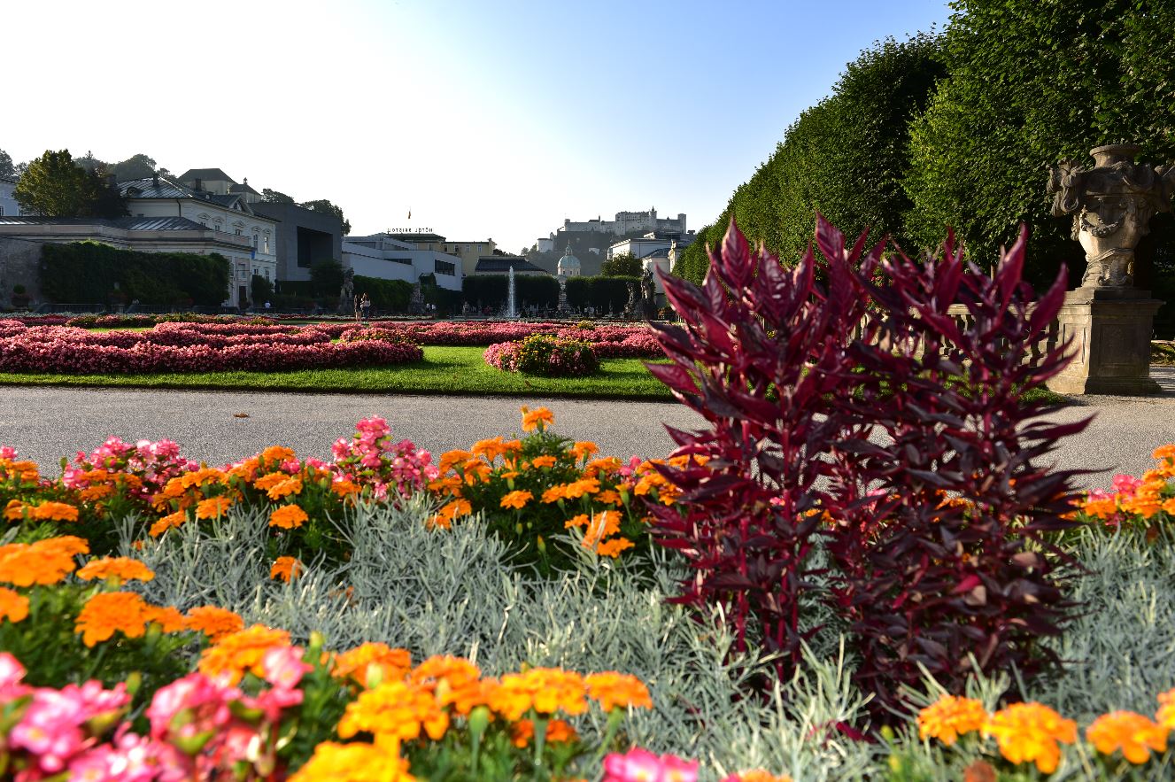 Blühender Mirabellgarten Die wunderschön blühenden Blumen im Mirabellgarten