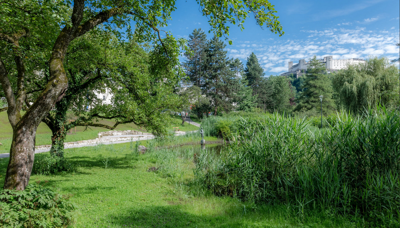 Naturraum Hans-Donnenberg-Park betreut von den Stadtgärten