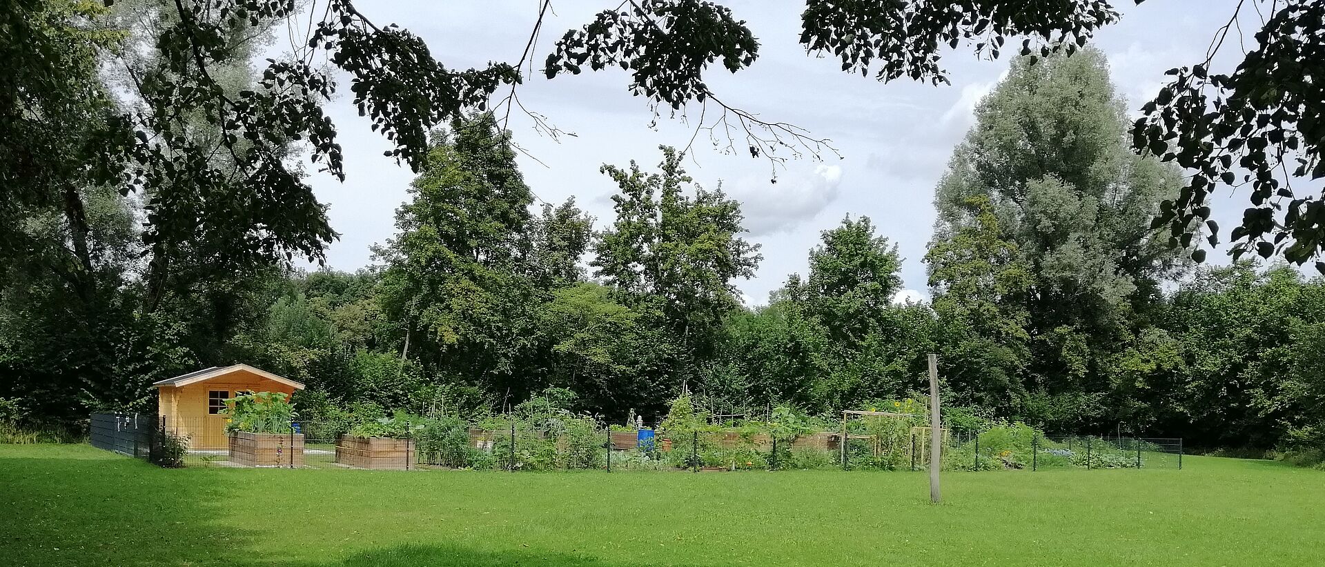 Gemeinsam Garteln im Gemeinschaftsgarten Liefering