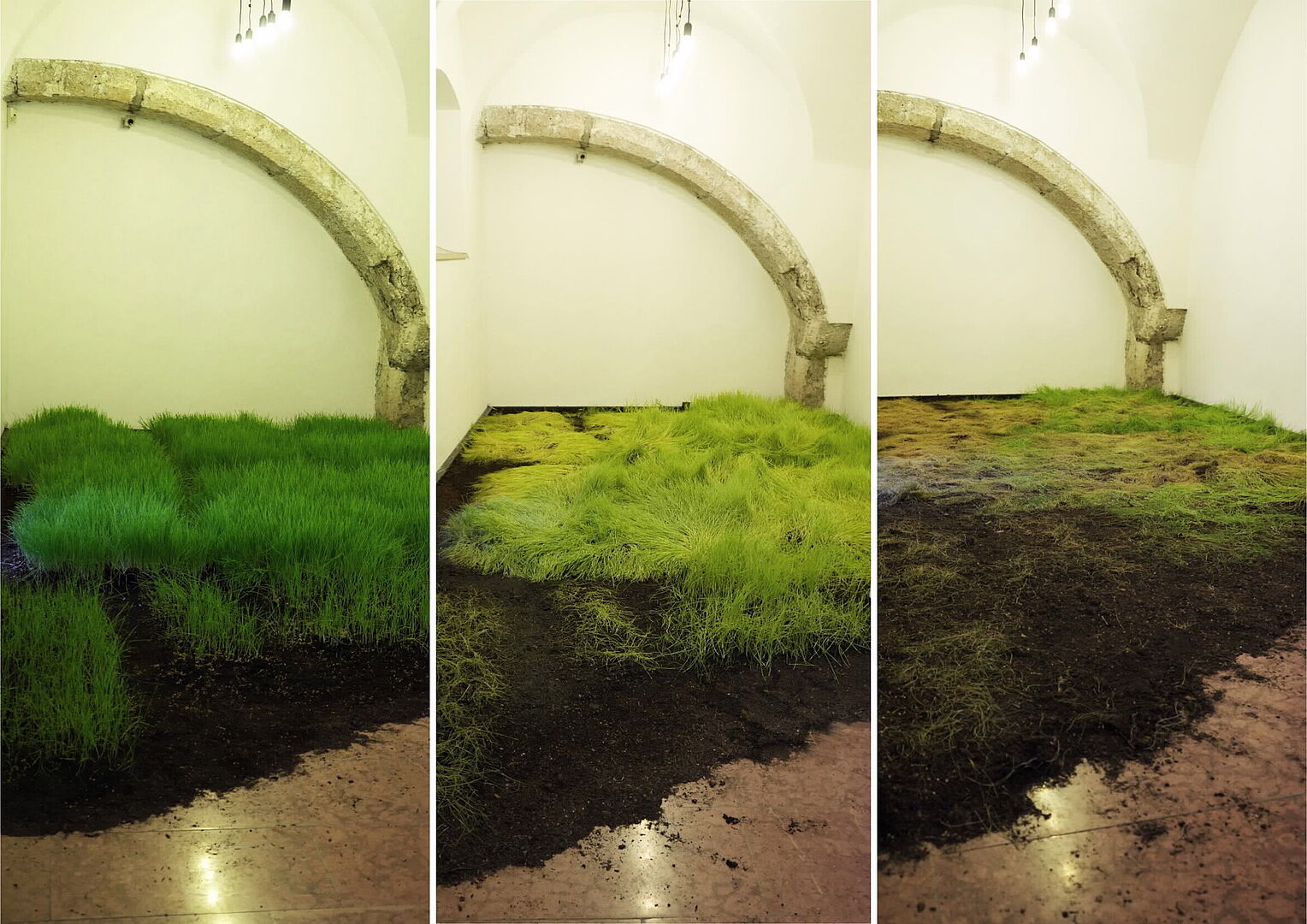"fragments", Weizenfeld 17qm, Foto, 2023