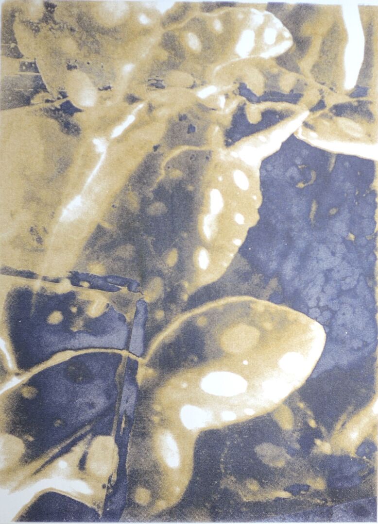 ohne Titel