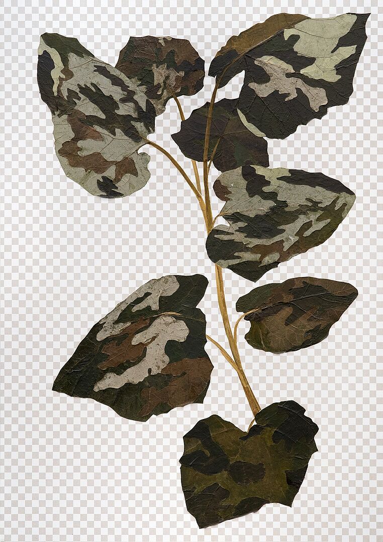 Camouplant, getrocknete Pflanzen - Motiv der Einladungskarte